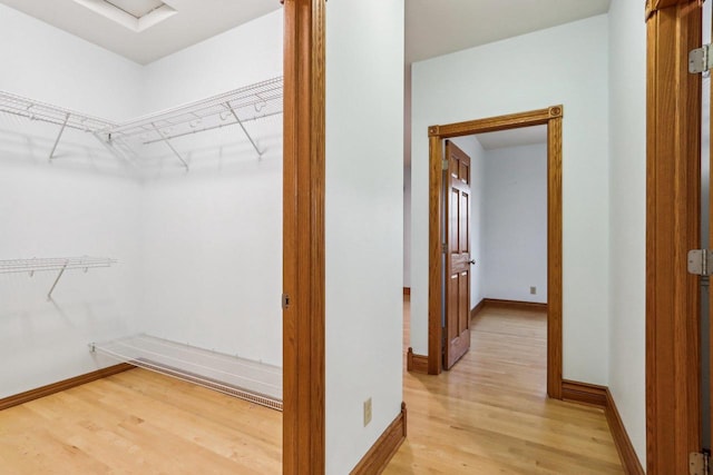 spacious closet featuring light wood-type flooring