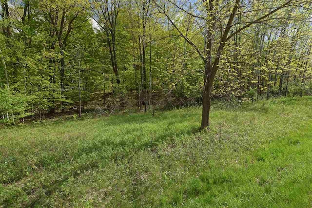 L169 Black Forest Dr, La Valle WI, 53941 land for sale