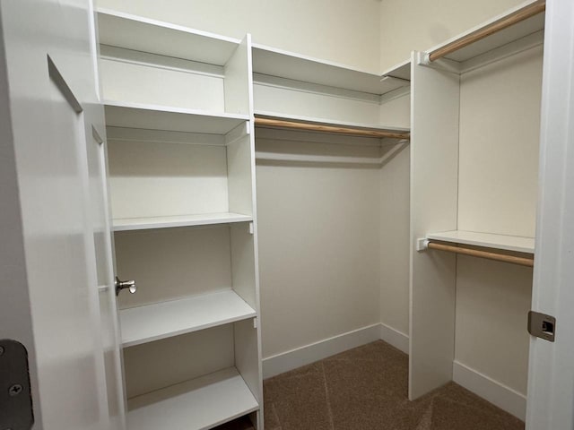 walk in closet with carpet