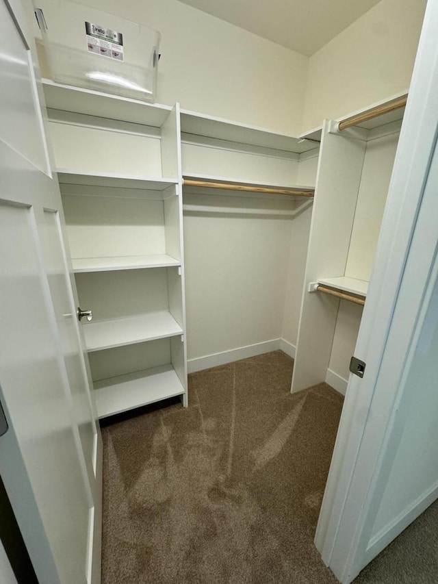 spacious closet with dark colored carpet