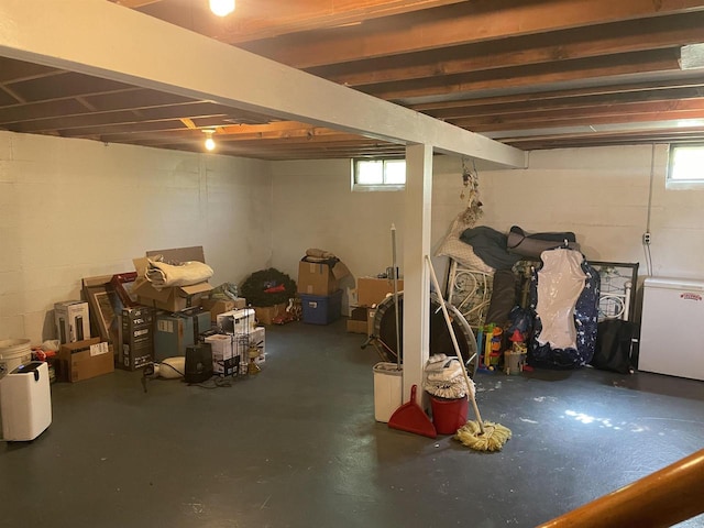 basement with refrigerator