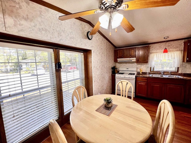 dining room with lofted ceiling, dark hardwood / wood-style flooring, sink, and a wealth of natural light