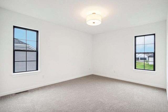 carpeted empty room featuring a wealth of natural light