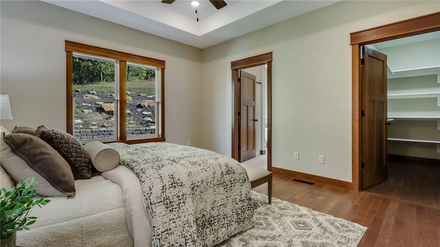 bedroom with ceiling fan, a closet, hardwood / wood-style floors, and a walk in closet