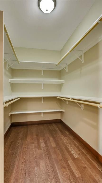 walk in closet with wood-type flooring