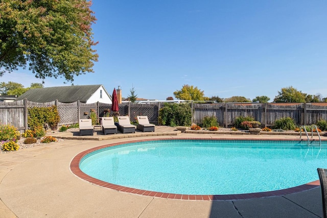 view of pool with a patio