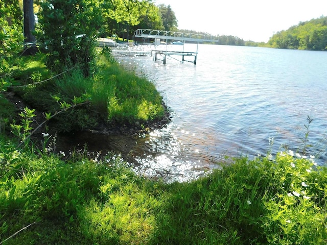 property view of water with a boat dock