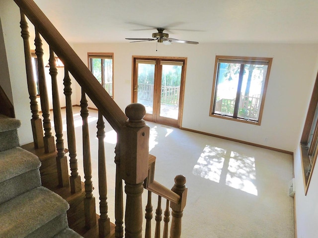 stairway featuring a healthy amount of sunlight, carpet flooring, and ceiling fan