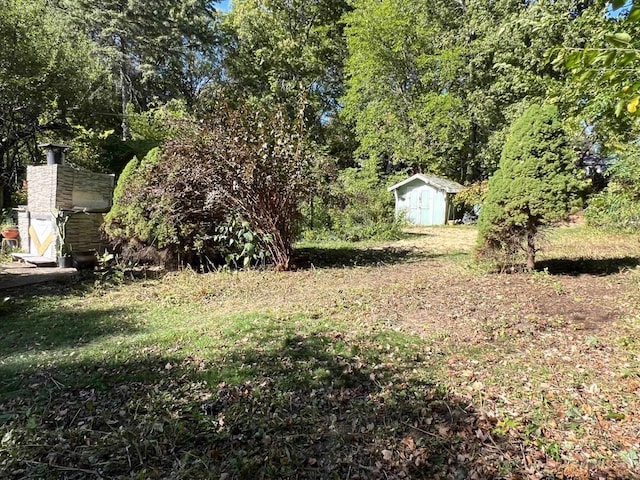 view of yard featuring a storage unit