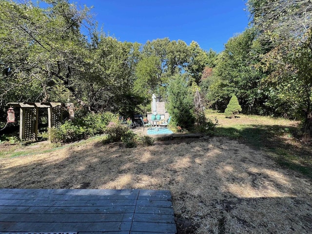 view of yard with a patio and a deck