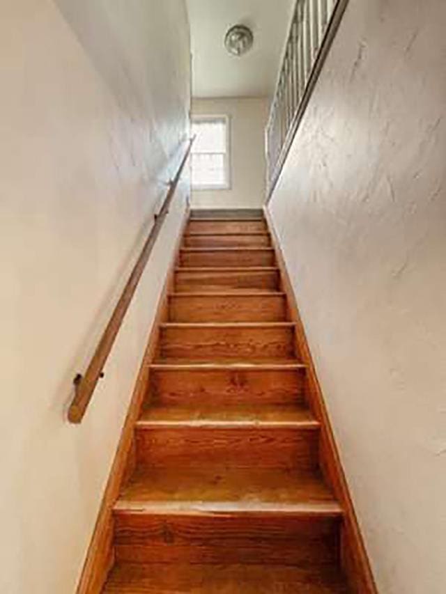 stairway with hardwood / wood-style flooring