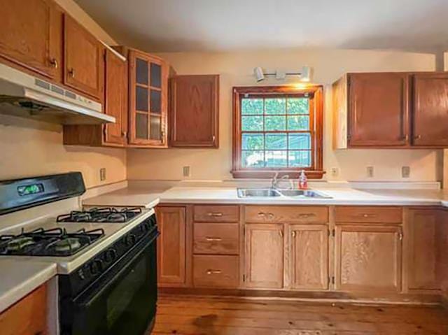 kitchen featuring white gas range, sink, and hardwood / wood-style flooring