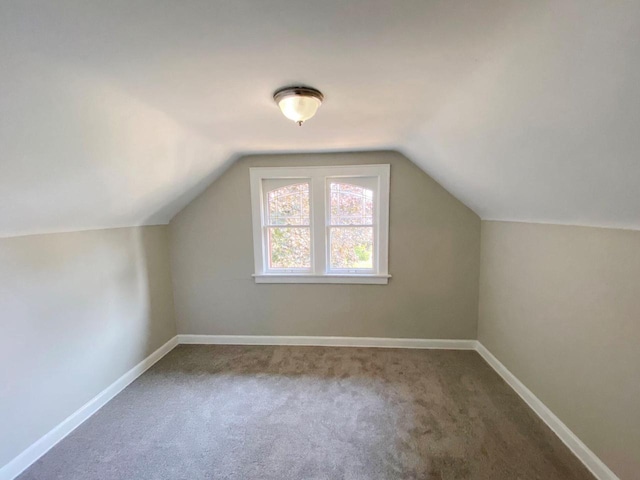 bonus room featuring carpet floors and vaulted ceiling