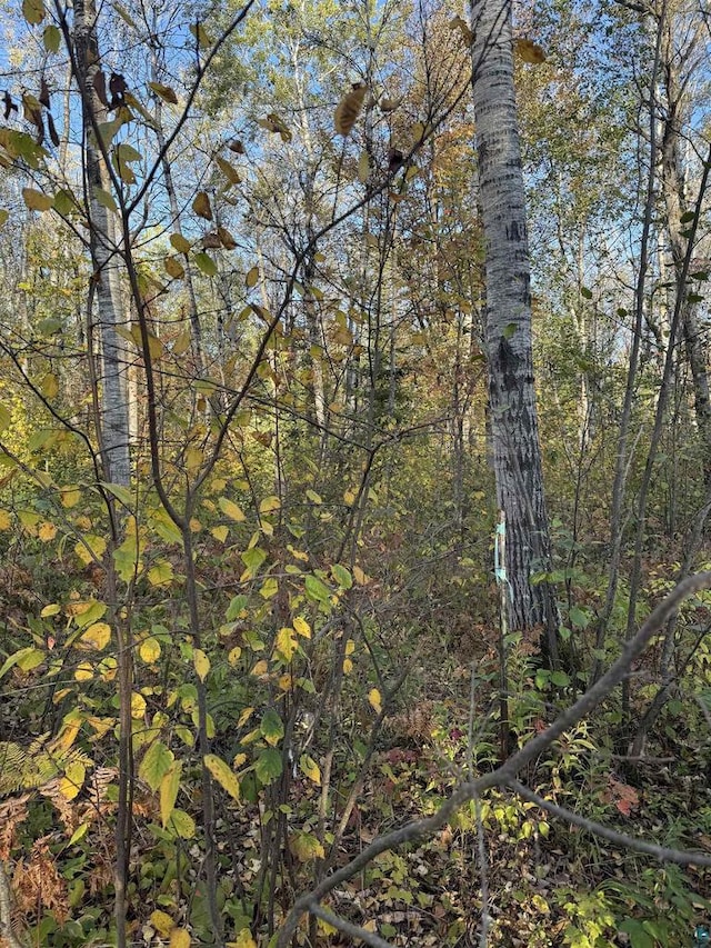 Listing photo 2 for LOT4 Snooky Rd, South Range WI 54874