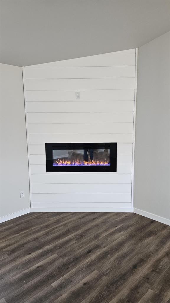 room details featuring hardwood / wood-style floors and a fireplace