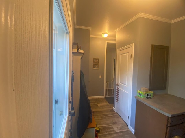 corridor with dark hardwood / wood-style floors and ornamental molding