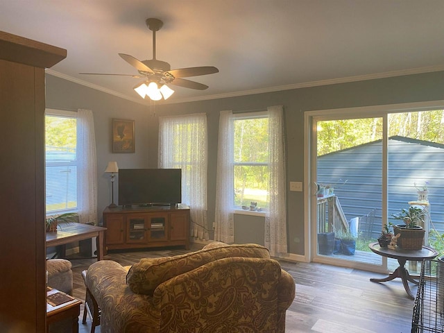 living room featuring ceiling fan, light hardwood / wood-style flooring, ornamental molding, and a healthy amount of sunlight