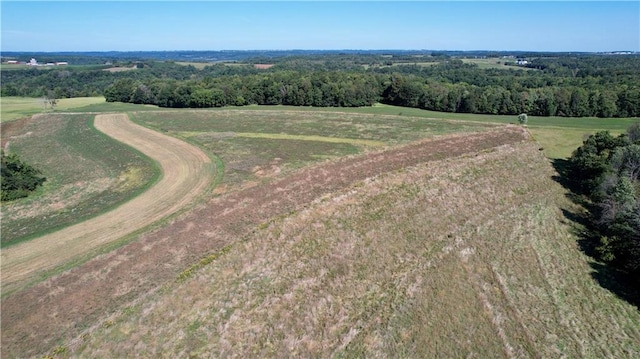 drone / aerial view featuring a rural view