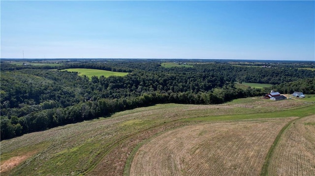 bird's eye view featuring a rural view