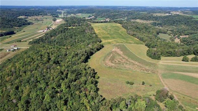 birds eye view of property featuring a rural view