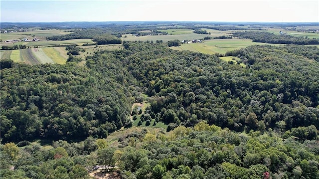 bird's eye view featuring a rural view