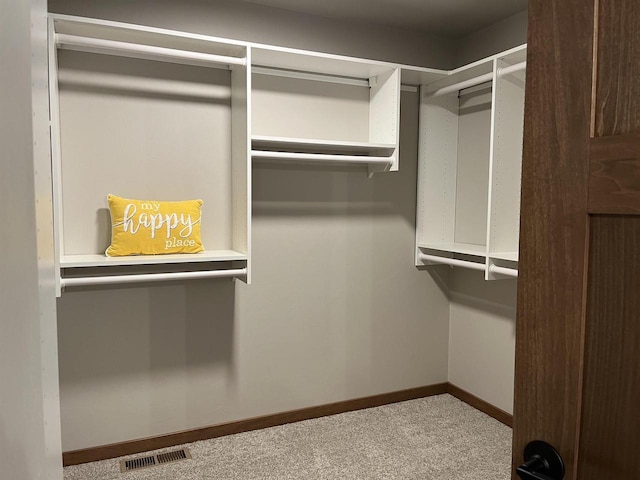 spacious closet with carpet floors