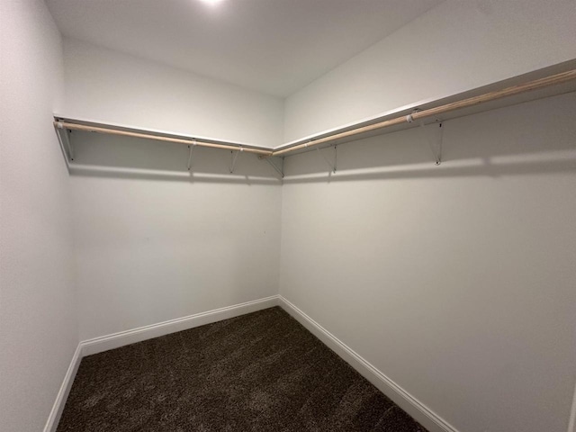 spacious closet with carpet flooring