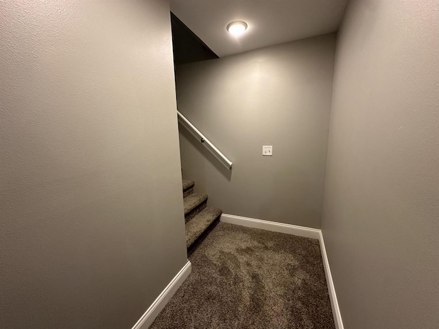 stairs featuring carpet