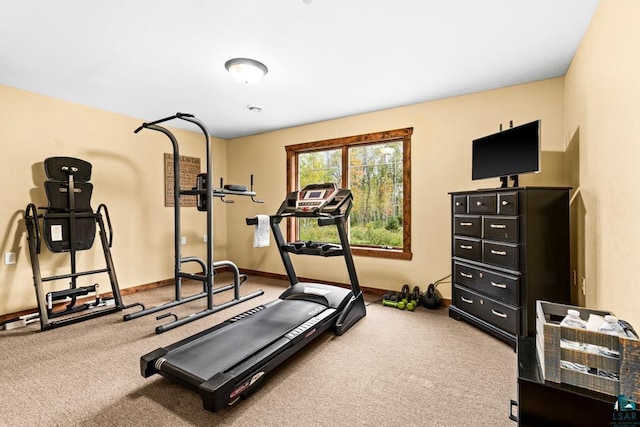 workout area with carpet floors