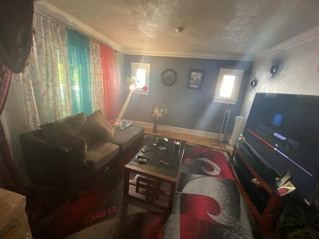 living room with a textured ceiling and crown molding