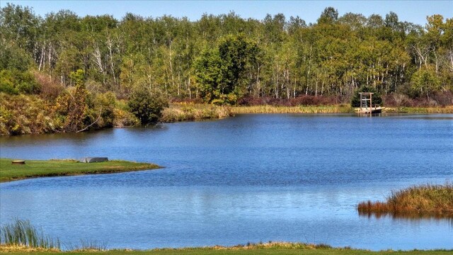 W9037 Ridgeview Trl, New Lisbon, WI 53950 - water view with a heavily wooded area