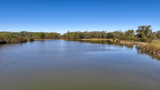 view of water feature