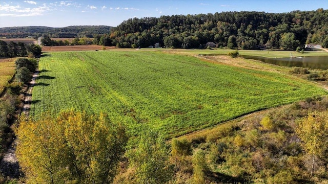 drone / aerial view with a water view and a rural view