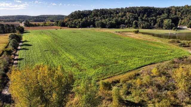 W9037 Ridgeview Trl, New Lisbon, WI 53950 - view of rural area featuring a large body of water and a heavily wooded area