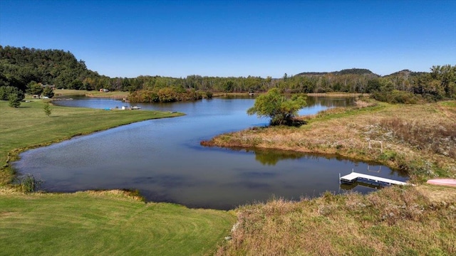 property view of water