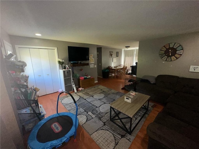 living room featuring wood-type flooring