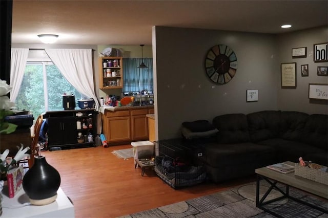 living room with light wood-type flooring and sink