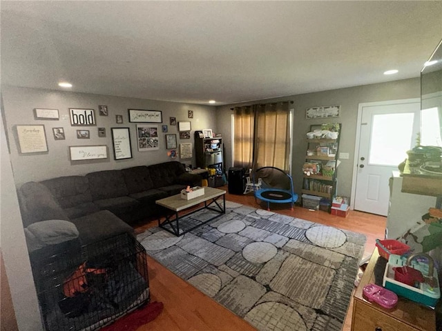 living room featuring hardwood / wood-style floors