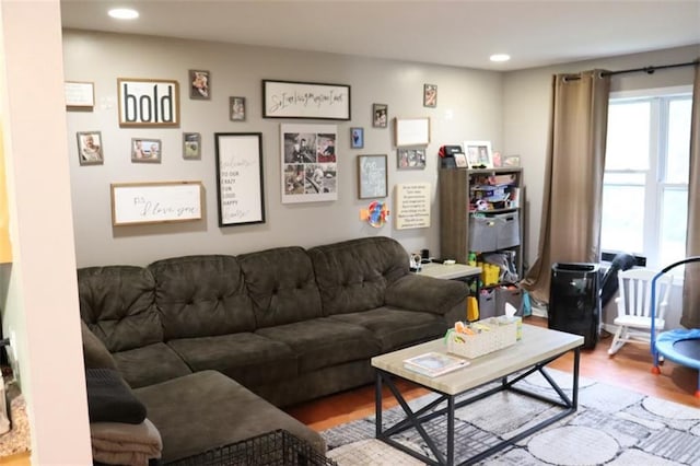 living room featuring wood-type flooring