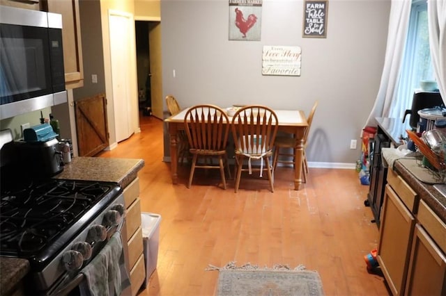 dining space featuring light hardwood / wood-style floors