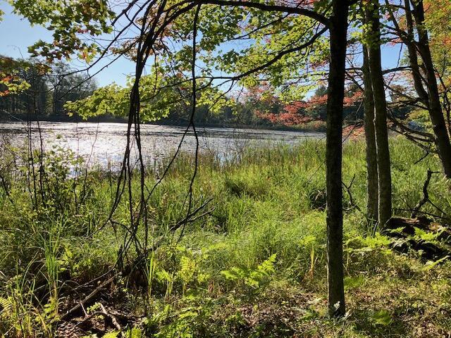 LT0 Deer Lake Rd, Crivitz WI, 54114 land for sale