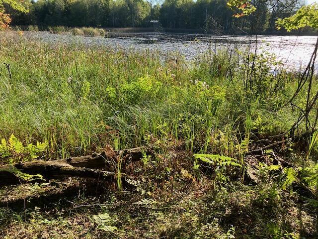 Listing photo 2 for LT0 Deer Lake Rd, Crivitz WI 54114