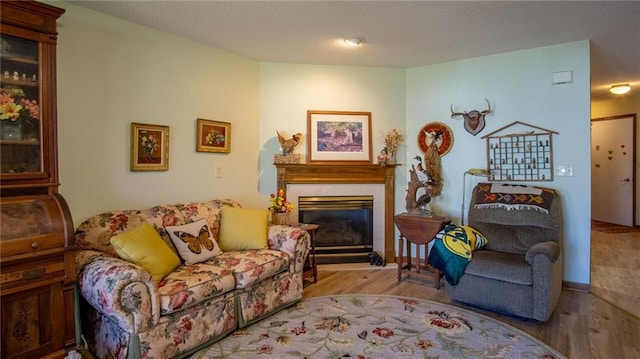 living room with light hardwood / wood-style floors