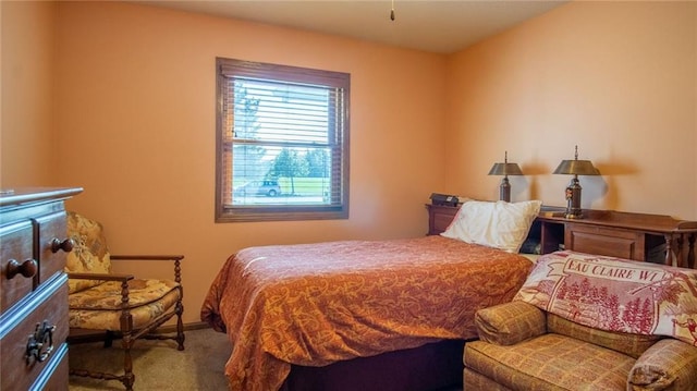 bedroom featuring carpet flooring