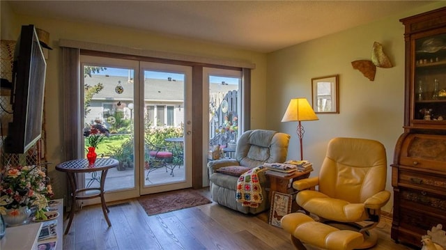 living area featuring hardwood / wood-style floors