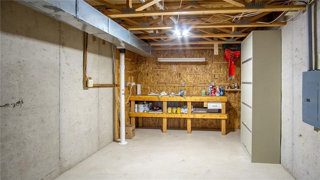 basement featuring a workshop area and electric panel