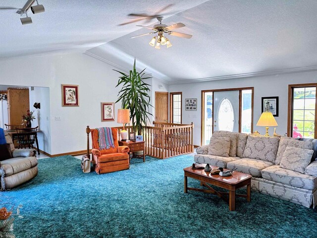63574 Lohmann Ln, Eastman, WI 52626 - carpeted living area featuring a ceiling fan, vaulted ceiling, a textured ceiling, and baseboards