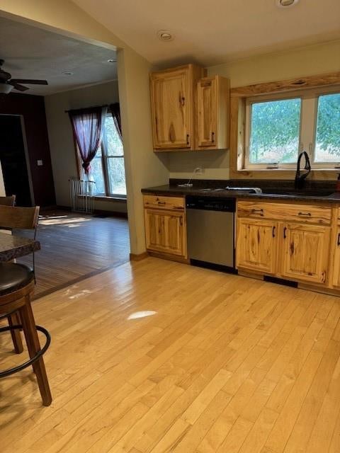 kitchen featuring sink, plenty of natural light, stainless steel dishwasher, and light hardwood / wood-style flooring