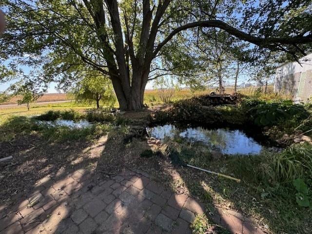 view of yard with a water view