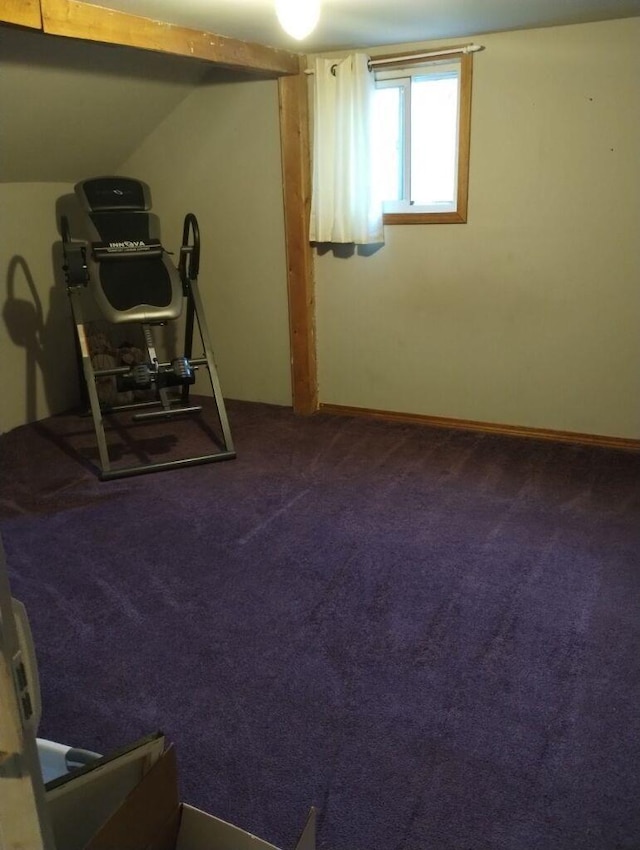 exercise room featuring carpet